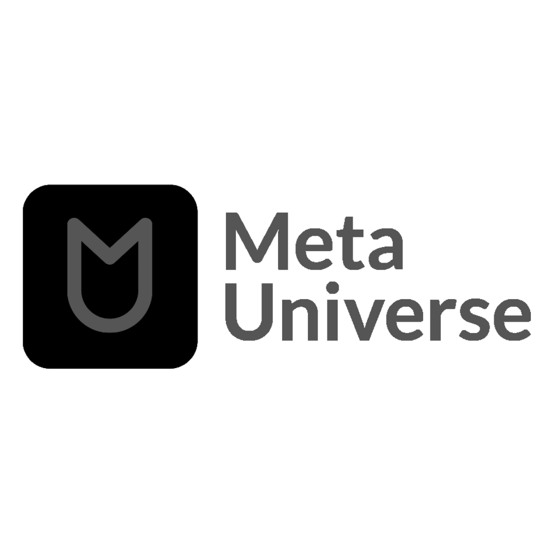 Meta universe